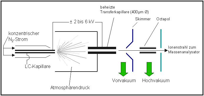 ESI-Ionenquelle